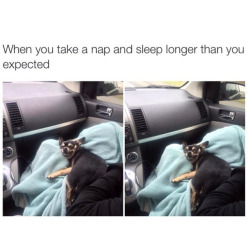 relatable-memes:  want relatable memes on your dash?