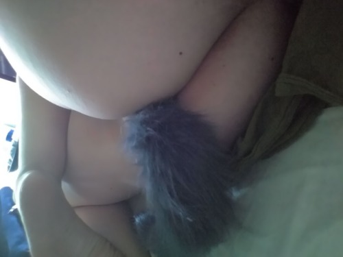 goodsubmissive: I love showing my tail off to daddy, and everyone else too :P