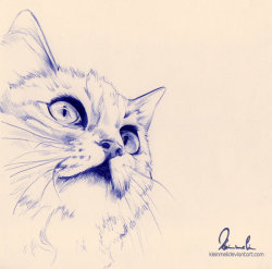 martinekenblog: Ballpoint Pen Cat - WIP by
