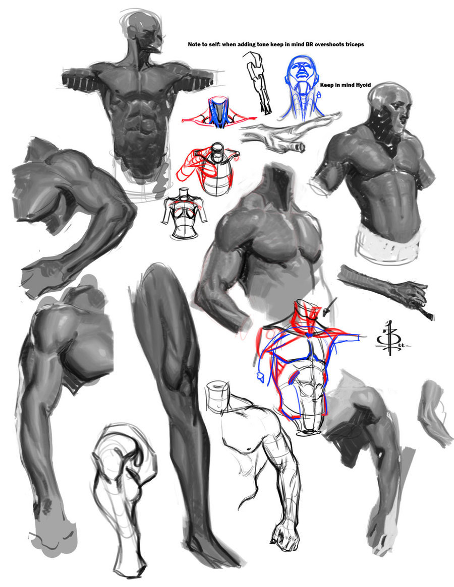 jay-h-bomb:  Here’s some awesome figure drawing and anatomy tips, tricks and tutorials