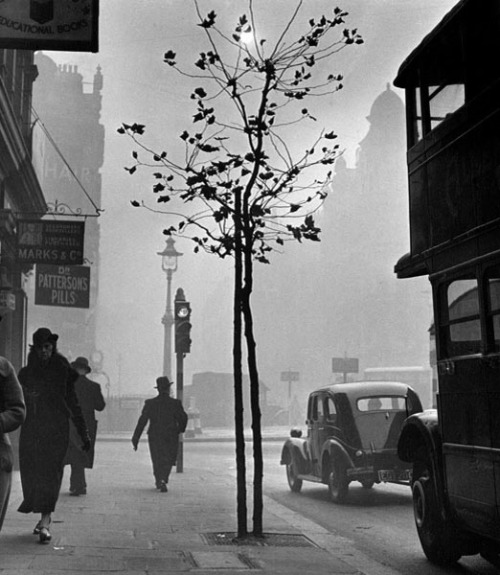 3wings: Charing Cross Road, London, 1937 Wolf Suschitzky