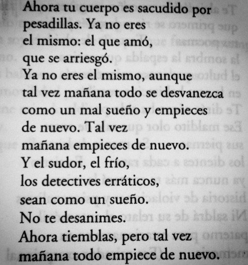 hachedesilencio:  Roberto Bolaño