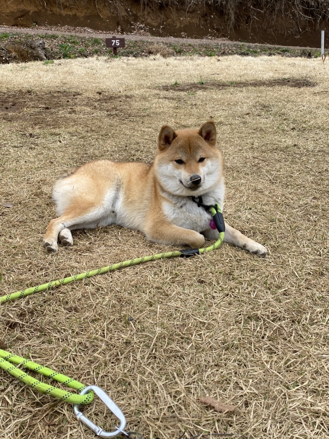 星の降る森 Explore Tumblr Posts And Blogs Tumgir 星の降る森 Explore Tumblr Posts And Blogs Tumgir