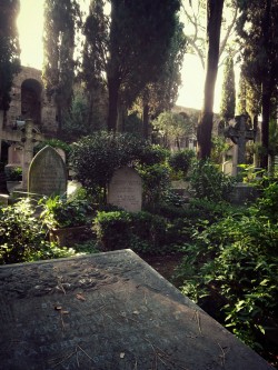 achyjedi:  Protestant Cemetery, Rome, October