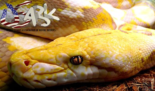 crispysnakes:USARK - United States Association of Reptile Keepers Court Rules in Favor of the Reptil