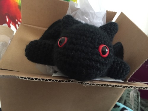 deliicate: @yarnmonger he’s here!  YAY! Thank you so much for letting me know and sending me a