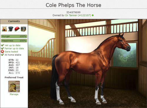 I’m good at the horse game and also at naming horses. 