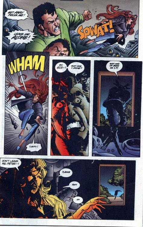 Hellz Yeah, Web Wielding Essays — That time Spider-Man hit his pregnant  wife...