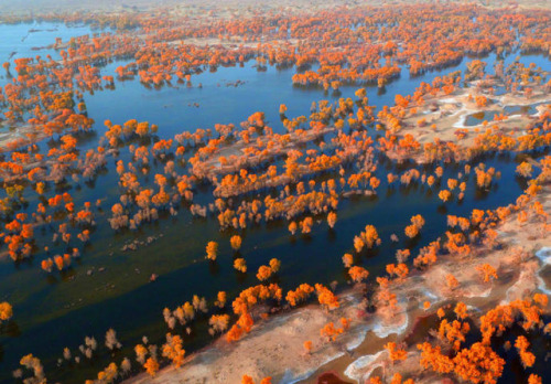 changan-moon: Xinjiang,China.Photo by 视觉中国.