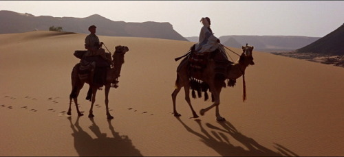 dying-suffering-french-stalkers: Lawrence of Arabia (1962) - scenes in screencaps [3/??]↳ First Entr