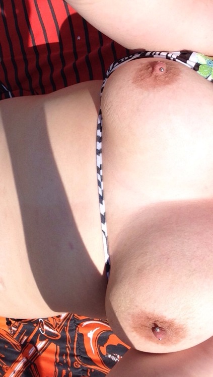 zebrax123: Just chilling in the sun ☀️