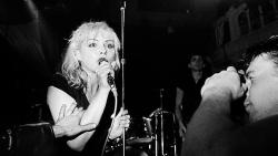 blondie-poedie:  Blondie Live in Paradiso