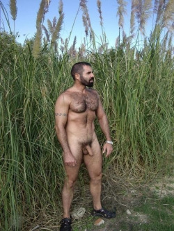 harryazz:  harryazz: More than 18,200 posts at harryazz archive!!  Wish I could find this in the tall grass!