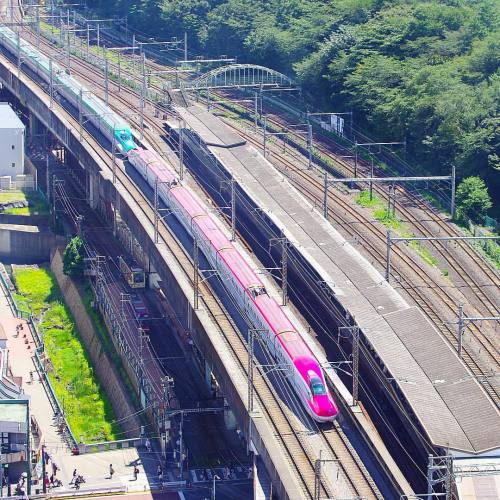 都電ちっさ！ Like a toy train. #都電 #都電荒川線 #新幹線 #japan #tram #railways #shinkansen (北とぴあ)