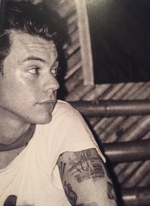 harrystylesdaily - HS1 Album Booklet (source)
