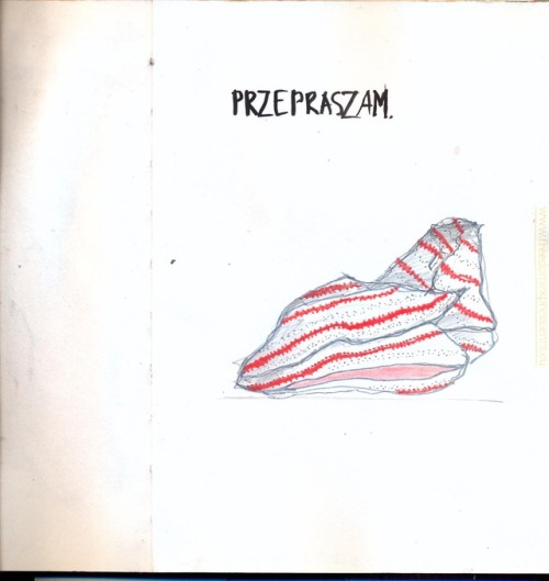 przepraszam