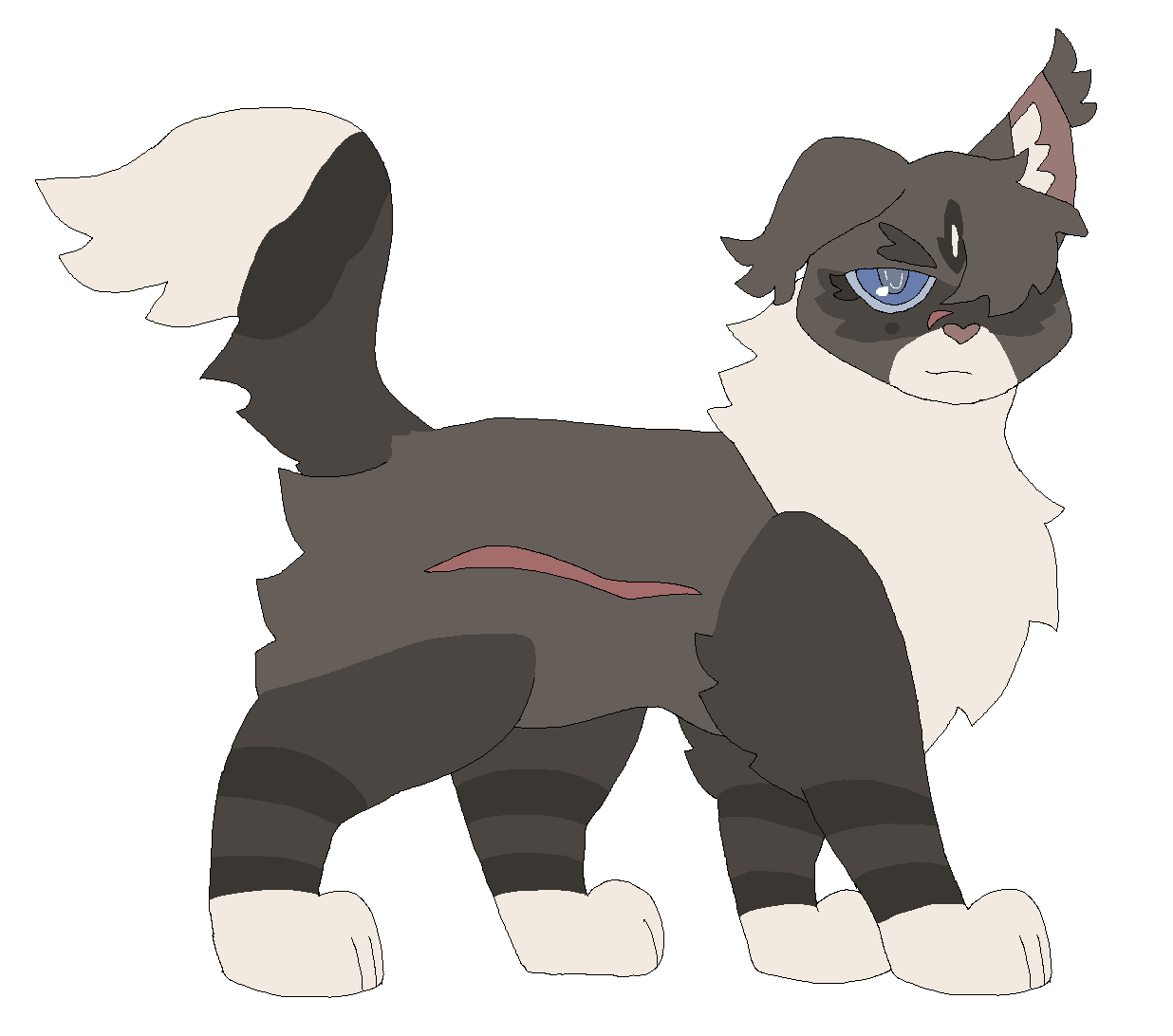 Jayfeather, Warriors Wiki