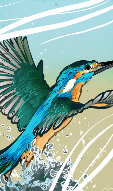 I love Kingfishers, they’re so cool lookingWant a chance to win a free commission? Check out m