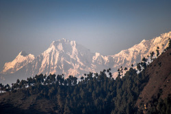 explore-zone:  A View From Bhimdhunga [EXPLORED