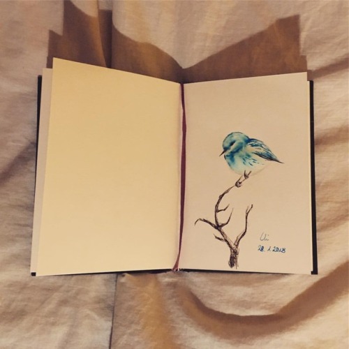 #28 Little Blue Bird