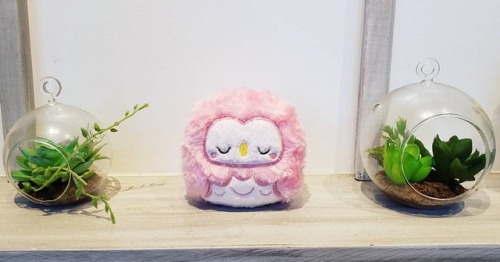 A little over an hour until the shop restock! The pastel rainbow owl was snatched up locally before 