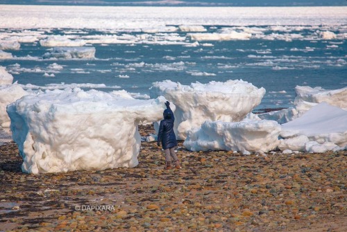 nbcnightlynews:Proof of just how harsh this winter has been: Large icebergs are washing ashore on Ca