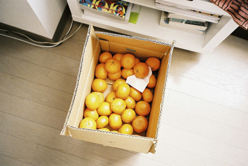 slanting:FH000035 by akippe on Flickr.