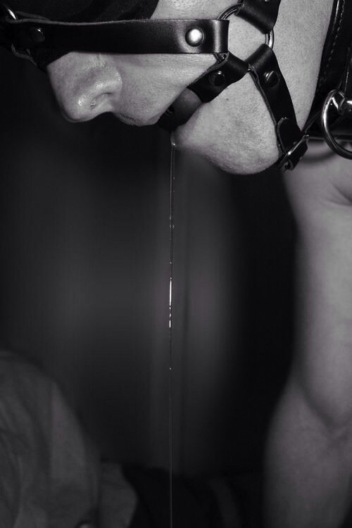 femaledominant:  ohtobecontrolled:  queen-lucia:  Sweet, sweet drool…. I love it!