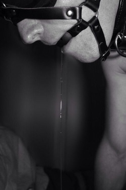 femaledominant:  ohtobecontrolled:  queen-lucia:  Sweet, sweet drool…. I love it!  Mmmm blindfolded and gagged, perfect  This image is perfect!!! 