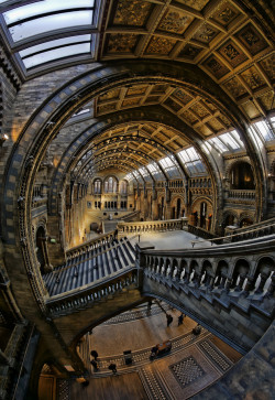 cityscapes:  Natural History Museum by RichardHarris1