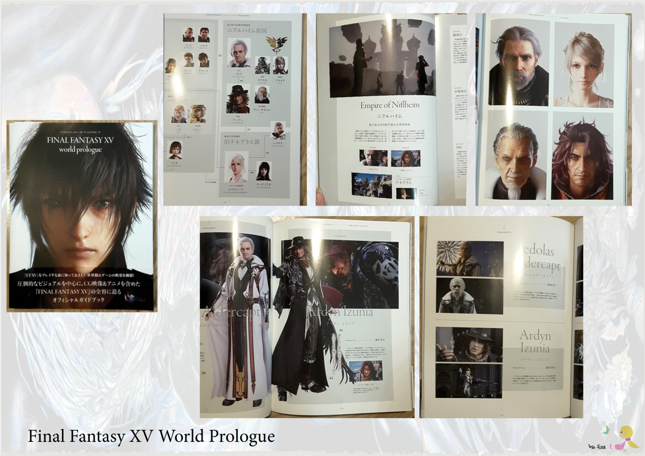 Final Fantasy XV World Prologue Buch Spiel Official Guide Gravitationszentrum 