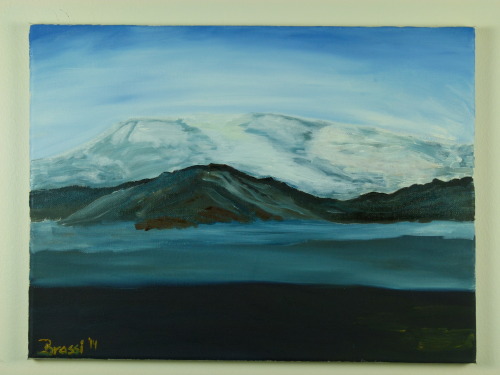 earthstory:americangeophysicalunion:These paintings by mouth painterBrandur Bjarnason Karlssondepict