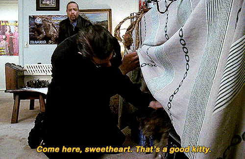 elliot-olivia:  I don’t see a cat. That doesn’t mean anything. They’re freaky little creatures, they lurk.
