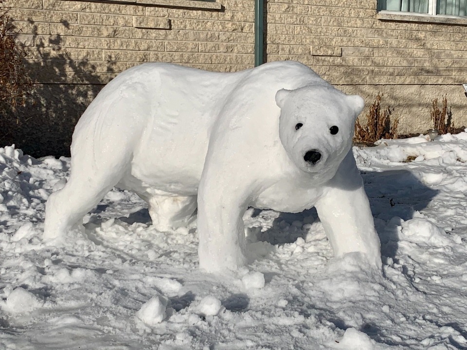 gentlemangeek:  pictures-of-dogs:looked up “snow dogs” hoping for dogs playing