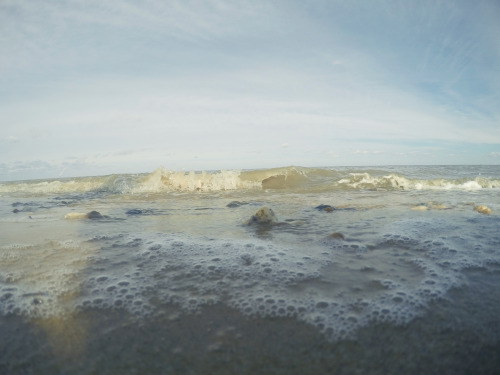 Woodland beach with Hiomy 