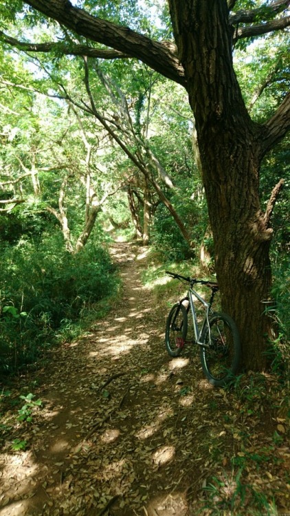 krs955:trail work and trail ride.