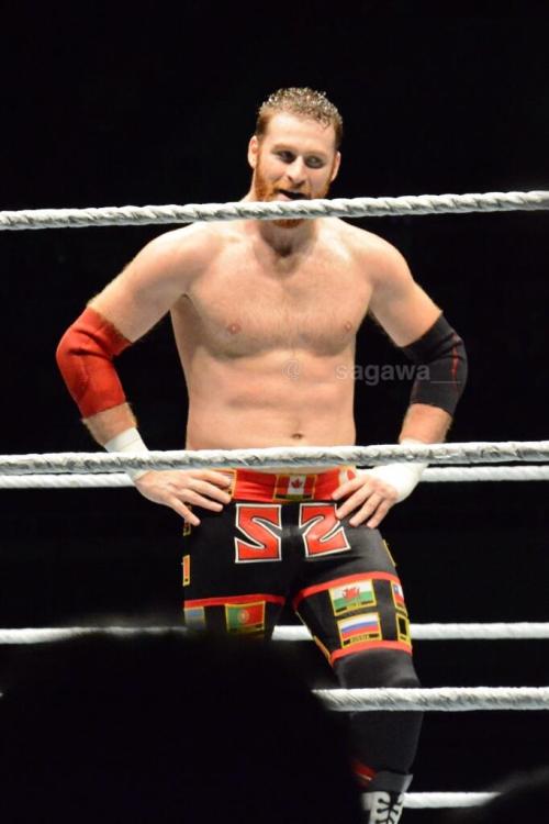wrasslers:  its 2014 and memes and and somethinng s wrogn w/ me??