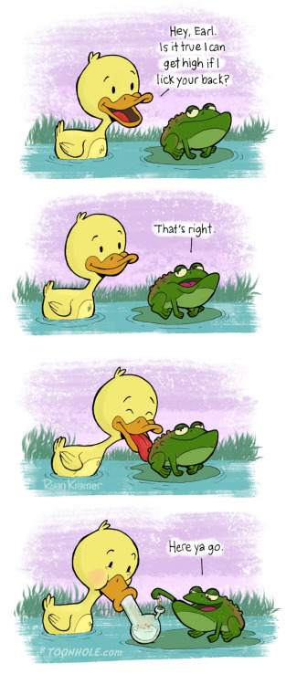 Sex lolfactory:  Magical Toad ➨ funny blog pictures