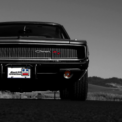 autoaddiction:  R/T 