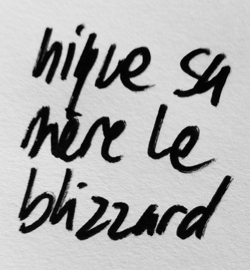 blizzard - Fauve