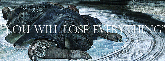 visor-of-artorias:  Souls Series + Introductions 