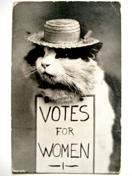 siavahdainthemoon:  taxloopholes:  johnnyjoestarrelatable:  johnnyjoestarrelatable: fun history fact: a common argument against women voting was ads with cats dressed up as suffrage activists next to signs reading “i demand a vote” etc, basically