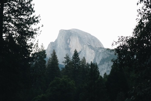 nuhstalgicsoul: Thank you to our national park services for a very happy 100 years of pure beauty an