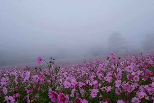 Via Weheartit 