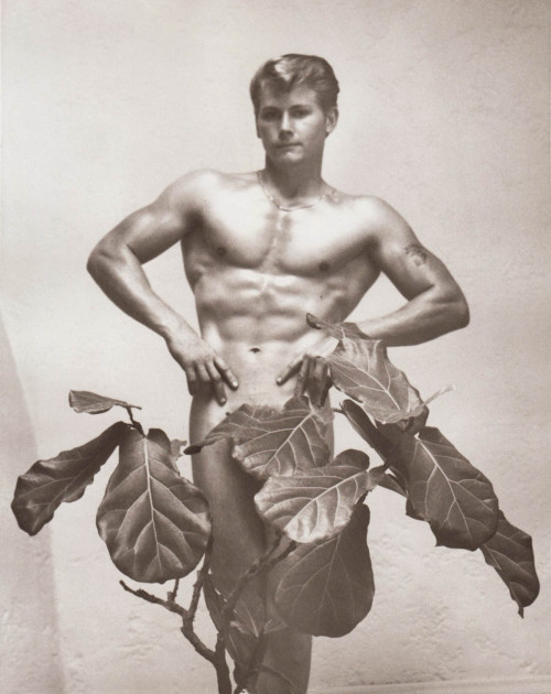 GARY BRANDENBURG