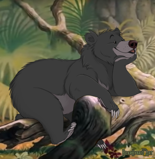 bearlyfunctioning:  Baloo! He’s supposed