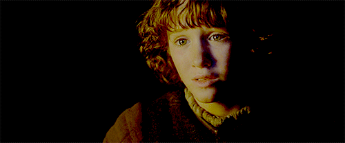 donydarko:  When the snows fall and the white winds blow, the lone wolf dies but