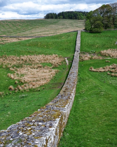 Hadrian&rsquo;s Wall at Housesteads Roman Fort, Northumberland, 13.5.18.