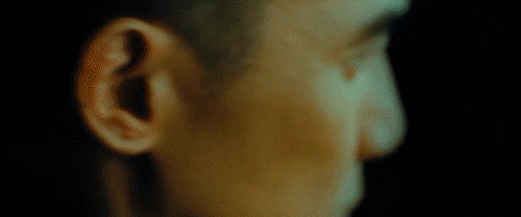 The Grandmaster (2013)