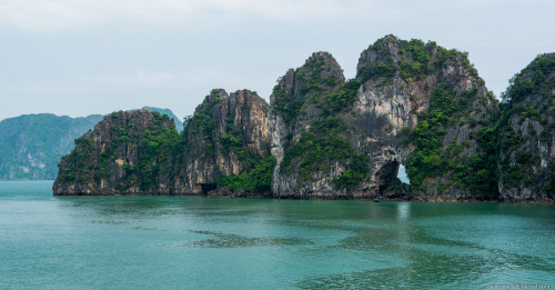 faustinepau:(via Sous l’objectif … - Vietnam. Partie 1 baie d’Halong:. Une variété de formes et de